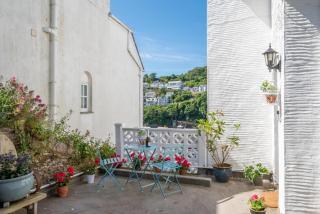 Sea Aster - Looe - 7