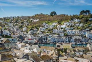 Sea Aster - Looe - 1
