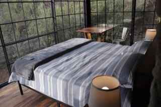 Armadillo Mágico - 7