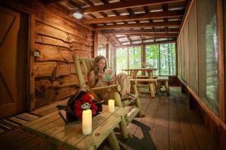 Buzzard Roost cabin at Cabin Fever in NC - 6