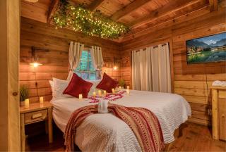Buzzard Roost cabin at Cabin Fever in NC - 2