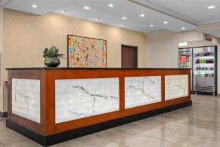 Drury Plaza Hotel St Louis Creve Coeur - 5