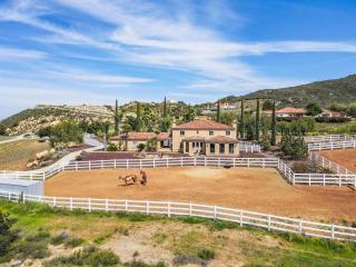 Villa on 5 Acre Vineyard Equestrian Estate, Pool & Hot tub, Events - 8