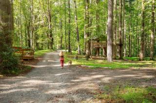 South Fork cabin at Cabin Fever in NC - 8