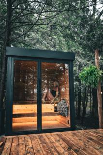 Aux Box Muskoka Modern Muskoka Bunkie - 1