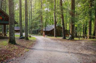 Bird's Nest cabin at Cabin Fever in NC - 9