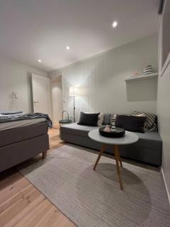 Sentral og koselig 1-rom studioleilighet med stort badeværelse - 2