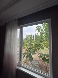 Apple Garden Guba - Quba - 2