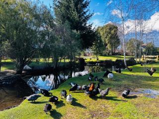 Complejo Peuma Hue - 2