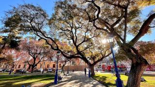 Depto céntrico en Mendoza, con terraza, cercano dé Aristides y Parque General San Martín - 6