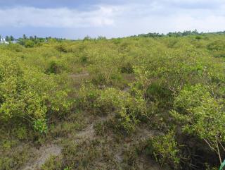 Swarnamayee Resort - 9