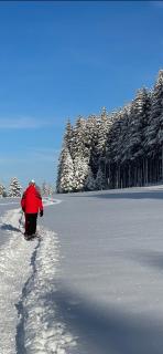 Auberge de la Perdrix - 4