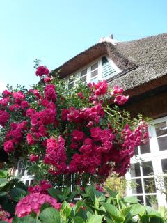 Landhaus-Marwede App6 - 9