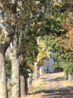 Domaine De Mathabiau - 7