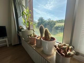 Akram Appartement VI - Naturnah mit Ausblick - Hildesheim - 4