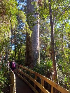 Waitakere Resort & Spa - 4