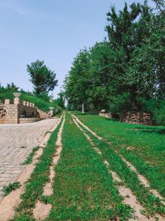 Фазенда Чортків - 5