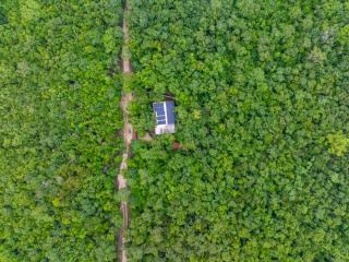 La Cueva de Piedra - 0
