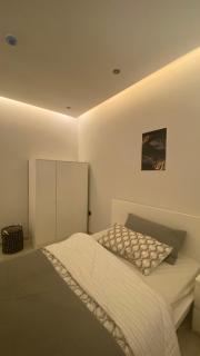 Luxury Apartment - 3