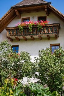 Bio-Bauernhof Anawander - Mariahof - 9