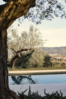 Modern House Among Spoltore Olive Trees - 7