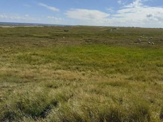 4 person holiday home in Rømø-By Traum - 3