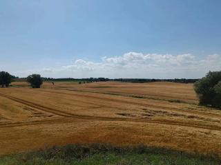 4 person holiday home in Martofte - 1