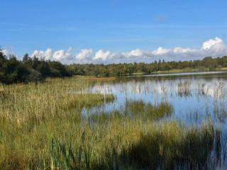 4 star holiday home in Ansager - 8