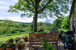 Mole Cottage - Parracombe - 7