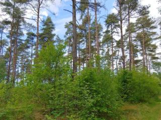 6 person holiday home in Oksbøl-By Traum - 4