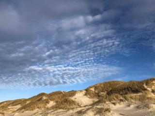 2 person holiday home in Vejers Strand-By Traum - 4