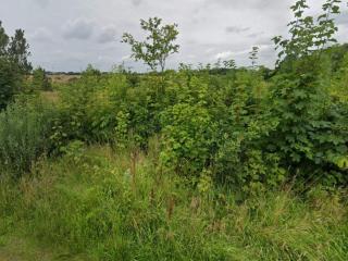 4 person holiday home in Ansager - 5