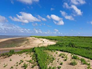 5 person holiday home in Rømø-By Traum - 5
