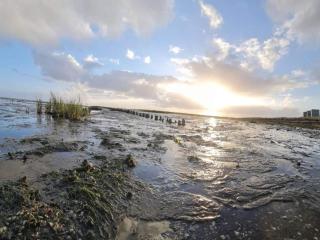 5 person holiday home in Rømø-By Traum - 1