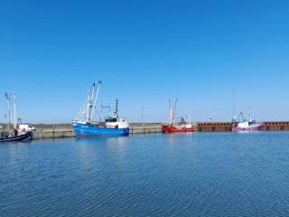 5 person holiday home in Rømø-By Traum - 3