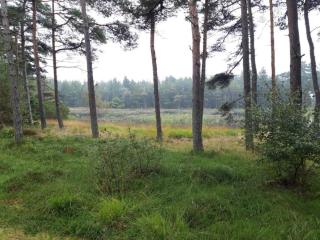 6 person holiday home in Rømø-By Traum - 1