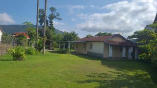 Chácrão Pardal Sedento - 2