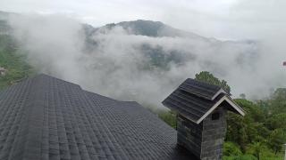 You and Me at Twin Oaks kasauli - 8