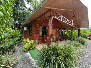 Cabin in the wood - 7