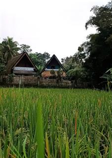 D'Bulan bungalows and kafe - 0