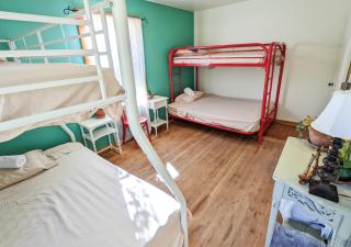 Jackass Hostel - 7