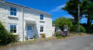 Tamarisk - Mousehole - 4