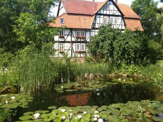 Holiday apartment with 2 bedrooms - Morschen - 8