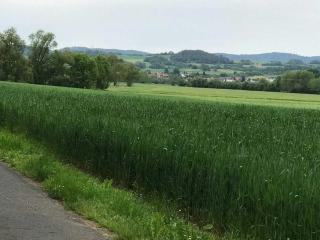 Holiday apartment with 2 bedrooms - Morschen - 4