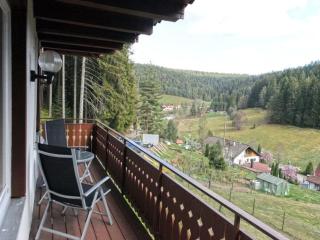 Holiday apartment with 3 bedrooms - Enzklösterle - 6