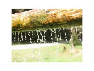 Holiday apartment with 3 bedrooms - 4