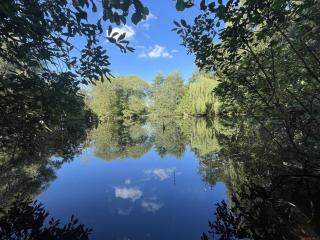 Holiday home in Hemmoor with swimming pool - 5