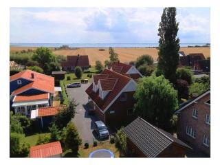 Holiday apartment in Gollendorf with terrace - 9