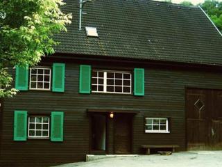 Holiday home in Wutach with swimming pool - 0
