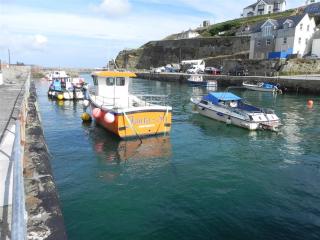 The Moorings - Portreath - 9
